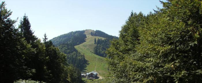 Drumeţii la Cabana Gârbova